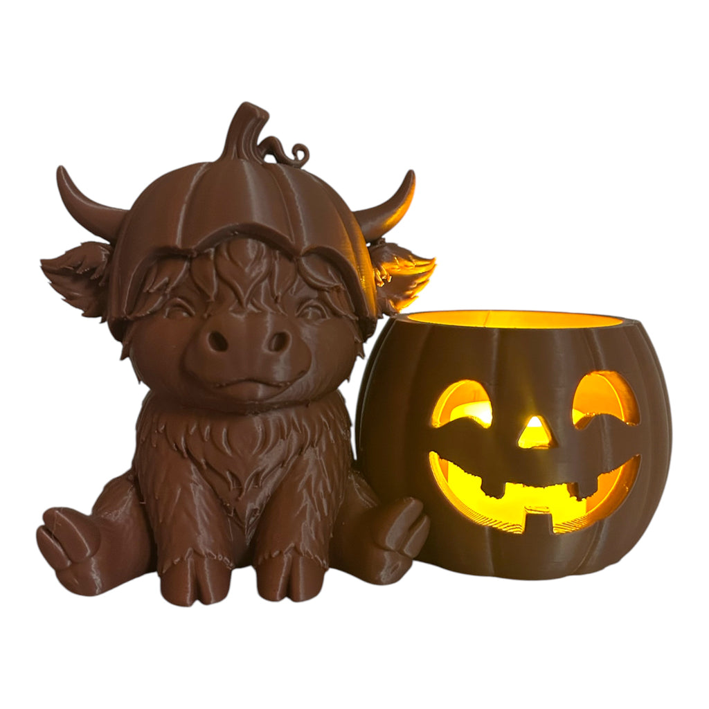 Pumpkin Cuties Schotse Hooglander