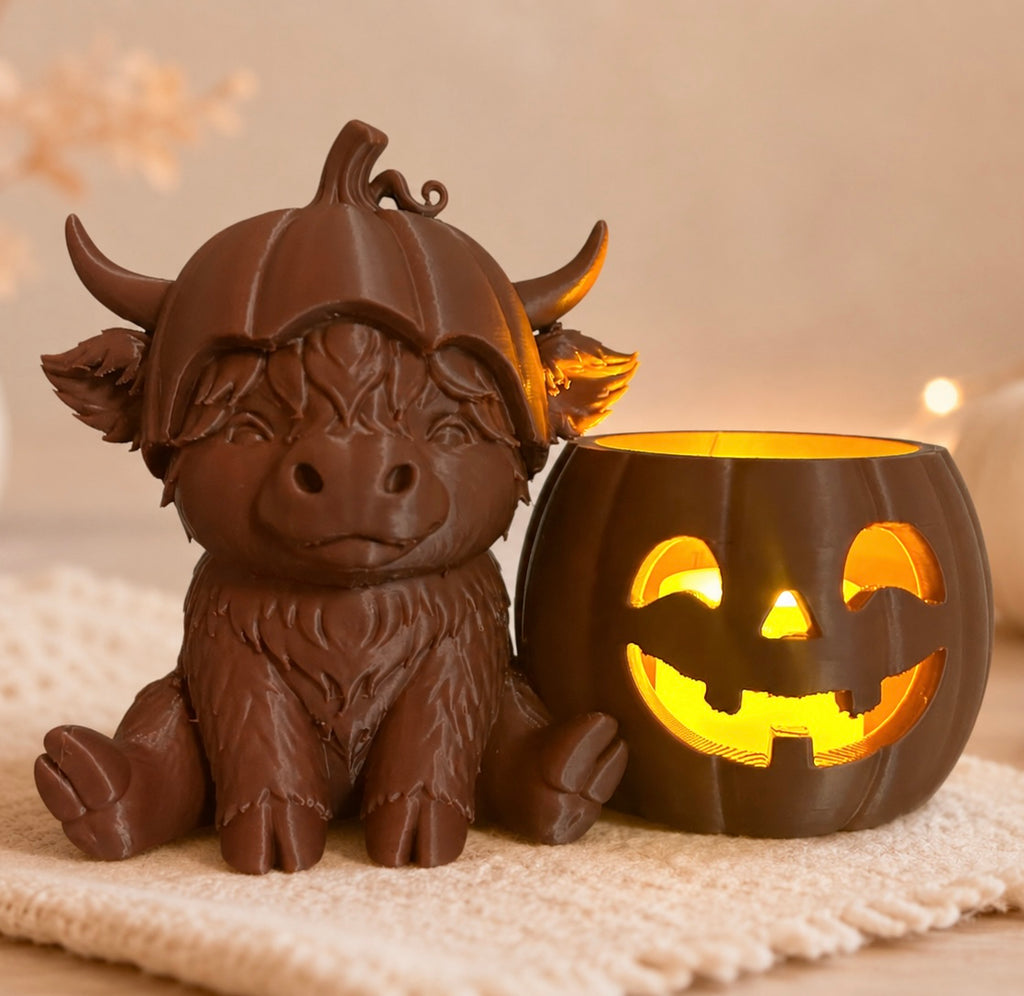 Pumpkin Cuties Schotse Hooglander