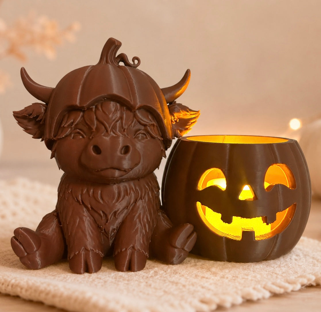 Pumpkin Cuties Schotse Hooglander
