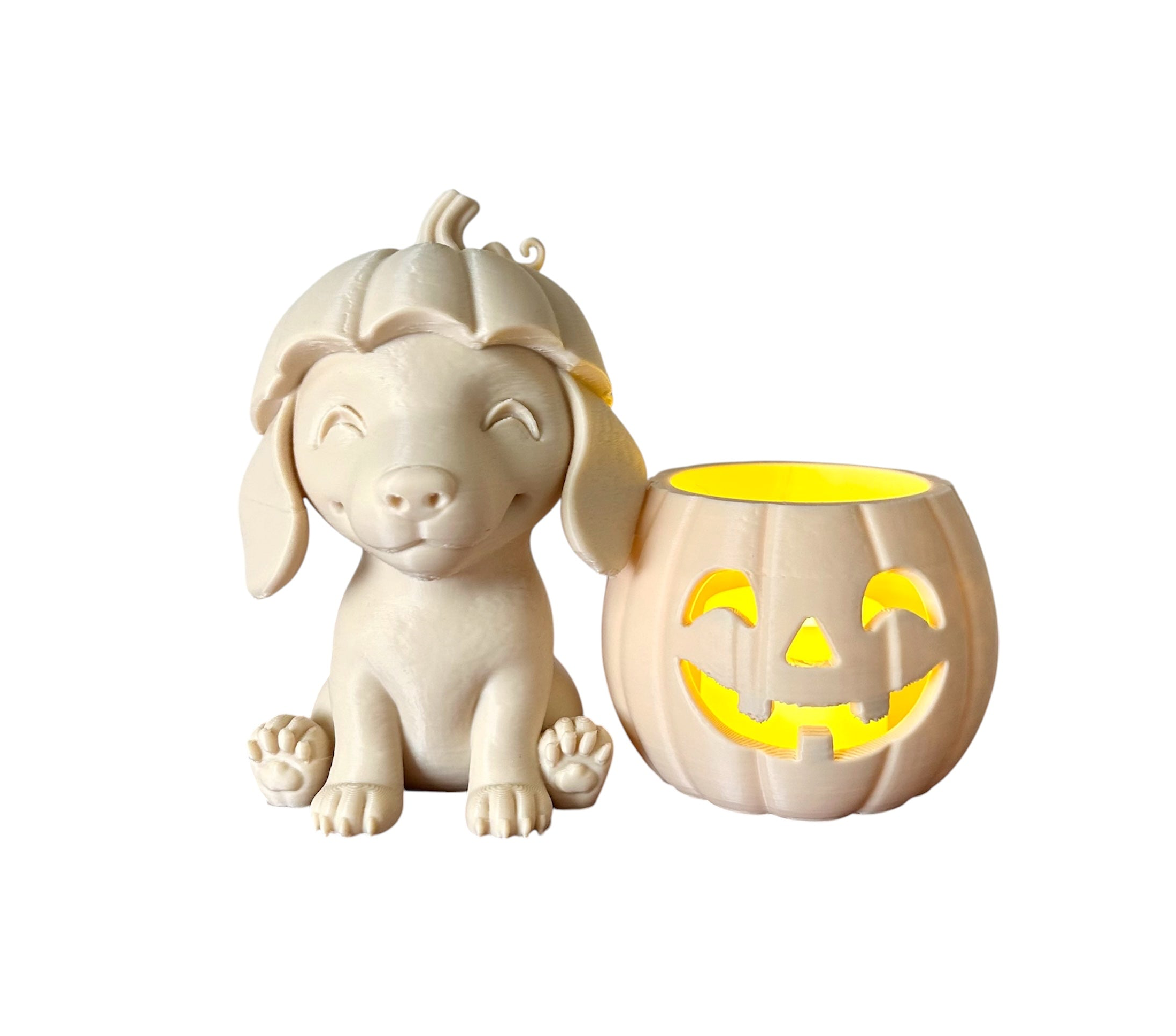 Pumpkin Cuties Teckel