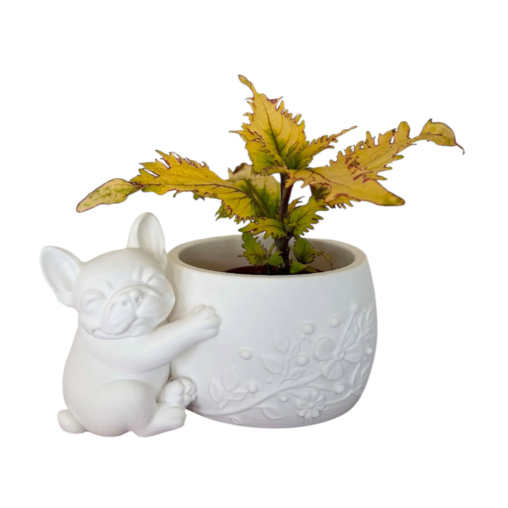 Franse Bulldog bloempotje