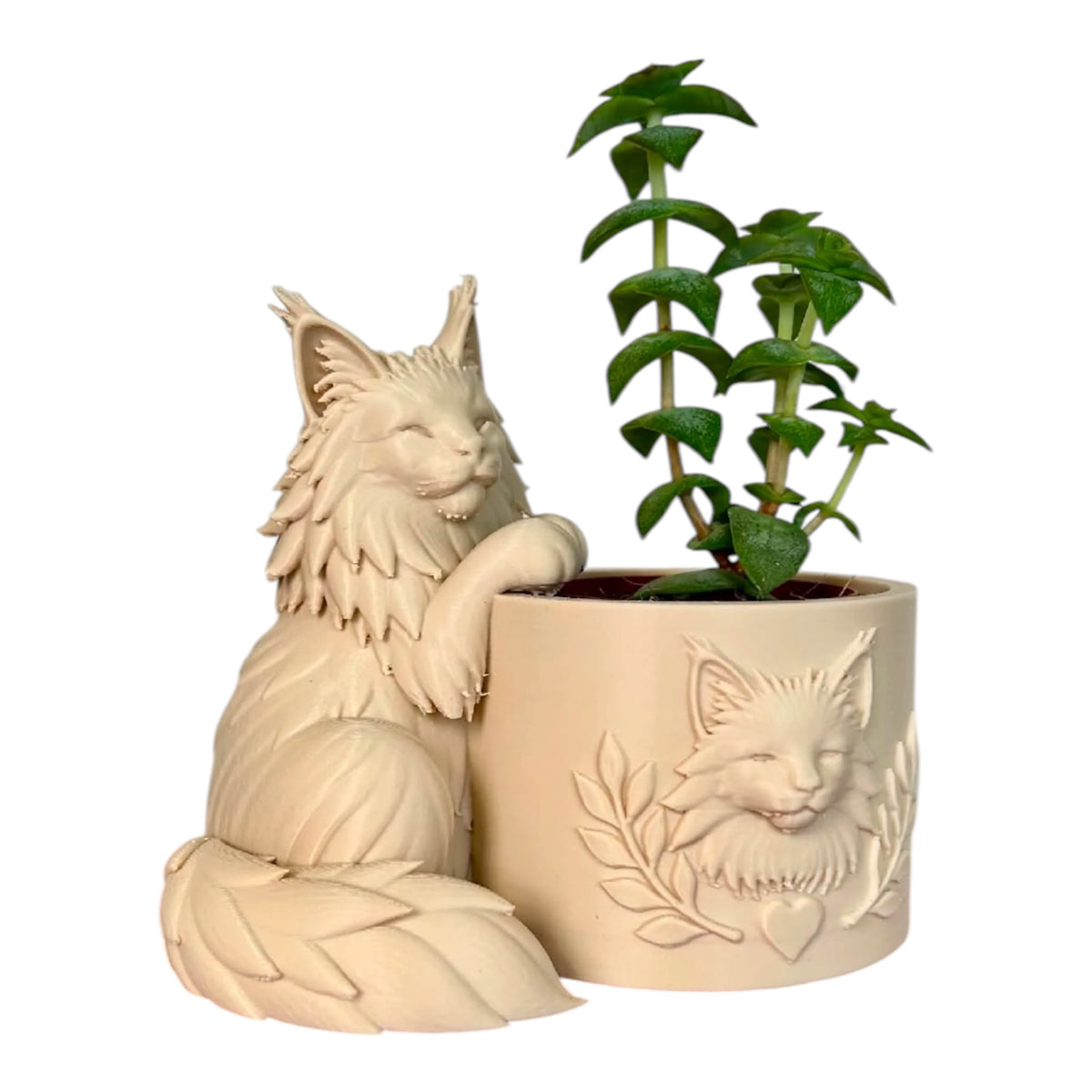 Maine Coon bloempotje