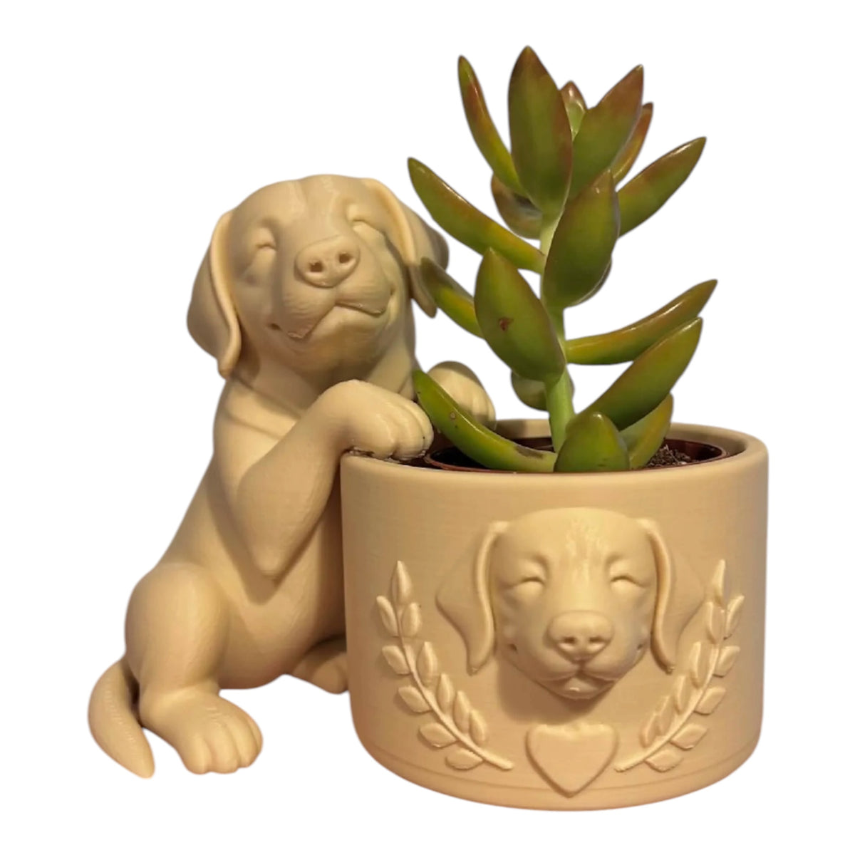 Labrador bloempotje