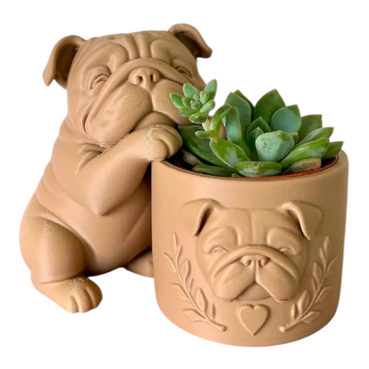 Engelse Bulldog planter