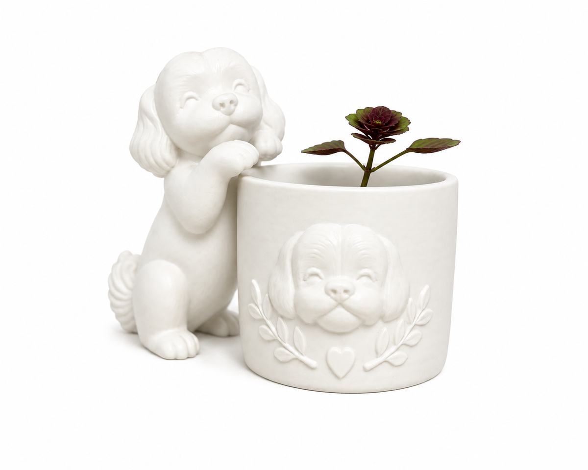 Schattig Maltezer bloempotje
